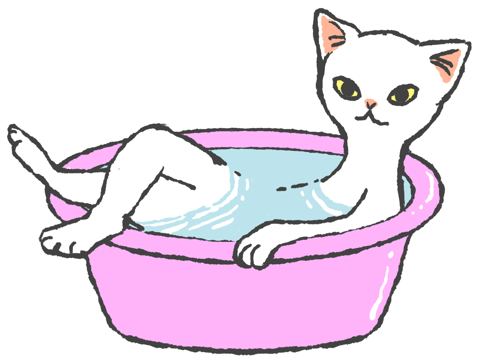 お手入れ・用品