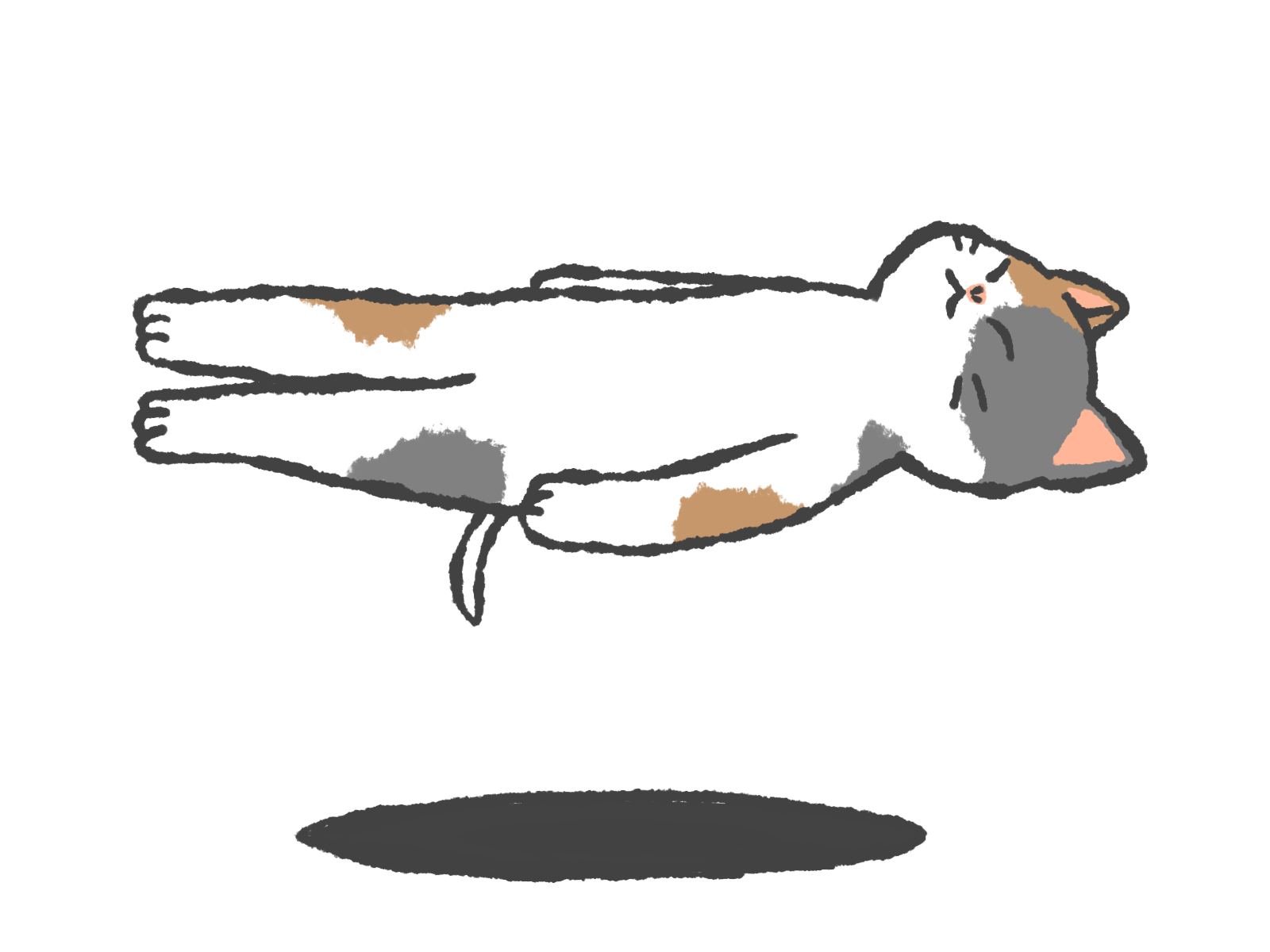 健康・病気・シニア