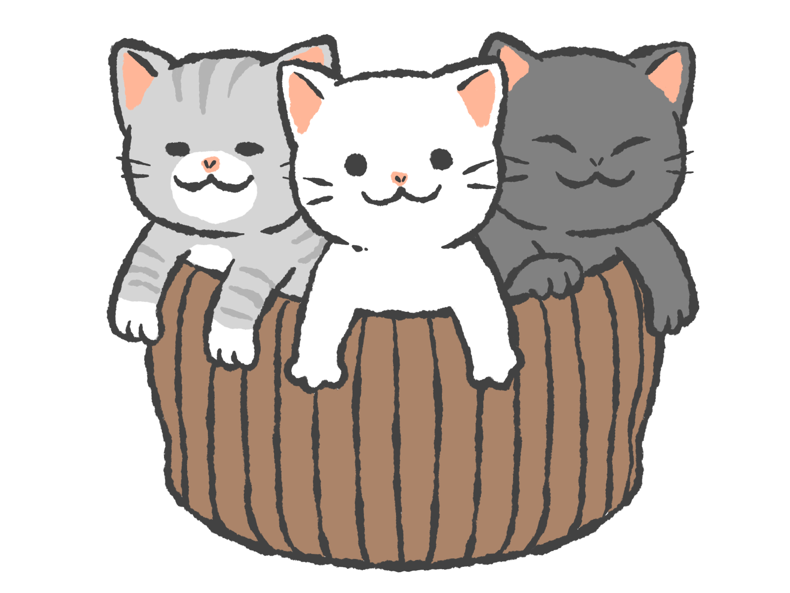 飼い始め・準備