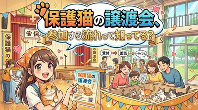 保護猫の譲渡会、参加する流れって知ってる？