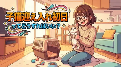 子猫迎え入れ初日ってどうすればいい？