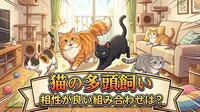 猫の多頭飼いで相性が良い組み合わせは？