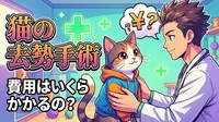 猫の去勢手術の費用はいくらかかるの？