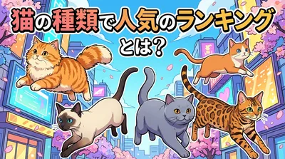 猫の種類で人気のランキングとは？