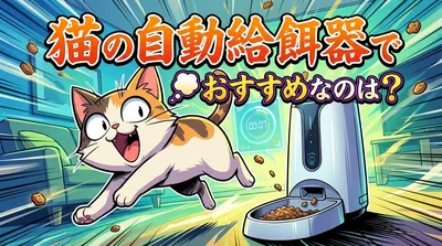 猫の自動給餌器でおすすめなのは？