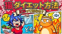 猫 ダイエット 方法の正解って何なの？