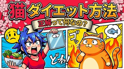 猫 ダイエット 方法の正解って何なの？