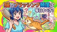 猫のブラッシング頻度は毎日すべき？