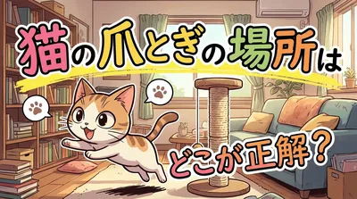 猫の爪とぎの場所はどこが正解？