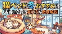 猫 ベッド 冬 おすすめは本当に必要？選び方を徹底解説