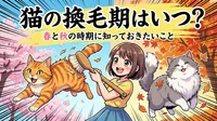 猫の換毛期はいつ？春と秋の時期に知っておきたいこと