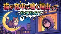 猫が夜中に鳴く理由ってなぜなの？