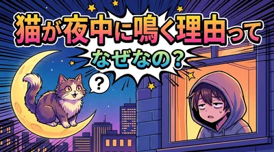 猫が夜中に鳴く理由ってなぜなの？