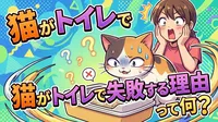 猫がトイレで失敗する理由って何？