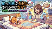 猫の粗相が布団にされるのはなぜ？効果的な対策方法を徹底解説
