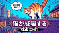 猫が威嚇する理由は何？