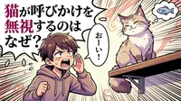 猫が呼びかけを無視するのはなぜ？