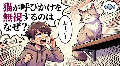 猫が呼びかけを無視するのはなぜ？