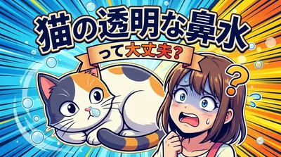 猫の透明な鼻水って大丈夫？