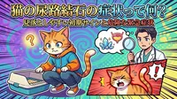 猫の尿路結石の症状って何？見落としやすい初期サインと危険な緊急症状