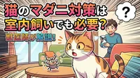 猫のマダニ対策は室内飼いでも必要？