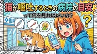 猫が嘔吐するときの病院の目安って何を見ればいいの？