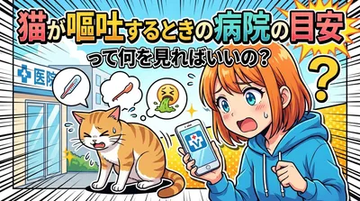 猫が嘔吐するときの病院の目安って何を見ればいいの？