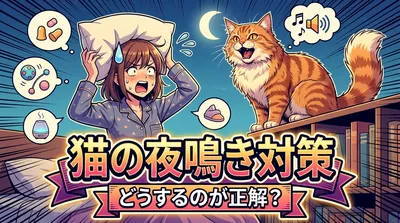 猫の夜鳴き対策ってどうするのが正解？