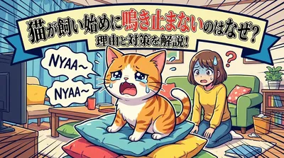 猫が飼い始めに鳴き止まないのはなぜ？
