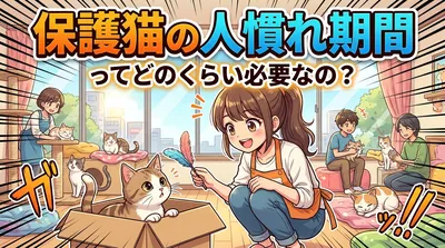 保護猫の人慣れ期間ってどのくらい必要なの？