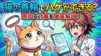 猫の首輪でハゲができる？原因と対策を徹底解説！