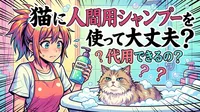 猫に人間用シャンプーを使って大丈夫？代用できるの？