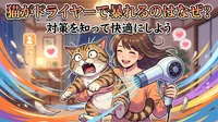 猫がドライヤーで暴れるのはなぜ？対策を知って快適にしよう