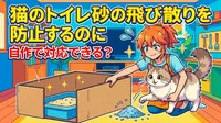 猫のトイレ砂の飛び散りを防止するのに自作で対応できる？