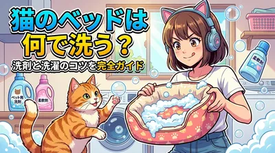 猫のベッドは何で洗う？洗剤と洗濯のコツを完全ガイド