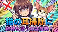 猫の耳掃除に綿棒を使うのは危険？