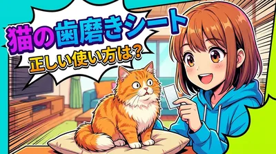 猫の歯磨きシートの正しい使い方は？