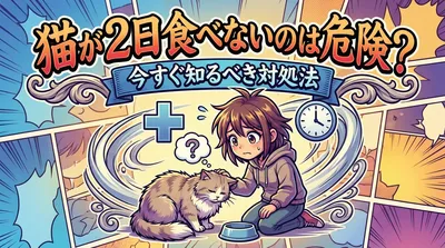猫が2日食べないのは危険？今すぐ知るべき対処法