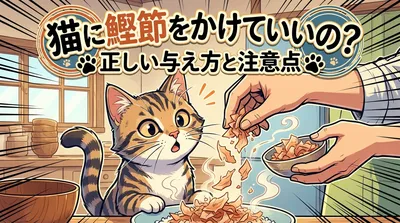 猫に鰹節をかけていいの？正しい与え方と注意点