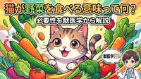 猫が野菜を食べる意味って何？必要性を獣医学から解説