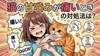 猫の甘噛みが痛いときの対処法は?