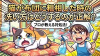 猫が布団に粗相した時の洗い方はどうするのが正解？