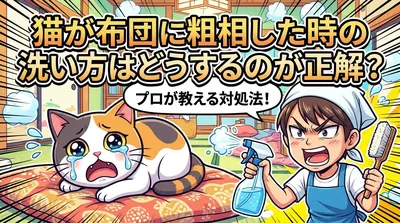 猫が布団に粗相した時の洗い方はどうするのが正解？