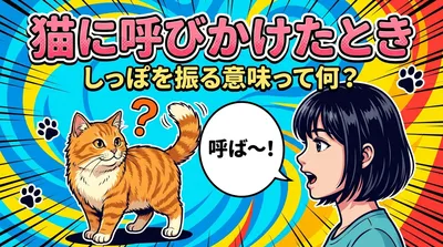 猫に呼びかけたときしっぽを振る意味って何？
