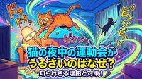 猫の夜中の運動会がうるさいのはなぜ？