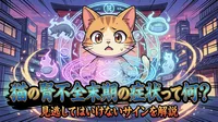 猫の腎不全末期の症状って何？見逃してはいけないサインを解説