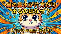猫の鼻水が片方だけ出るのはなぜ？
