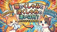 猫のくしゃみと逆くしゃみの違いは何？見分け方を徹底解説
