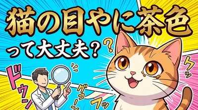 猫の目やに茶色って大丈夫？