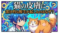 猫の皮膚に部分的な脱毛が起こるのはなぜ?